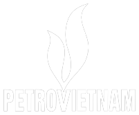 PetroVietnam